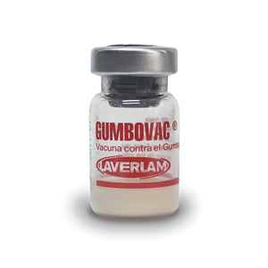 [1987] GUMBOVAC * 1000 DOSIS + DILUENTE