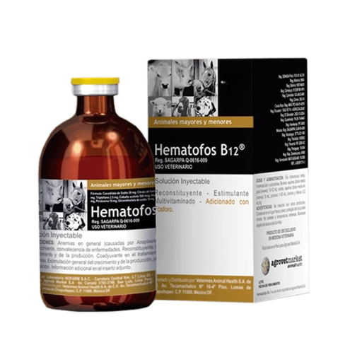 [4217] HEMATOFOS B12  INY * 250 ML