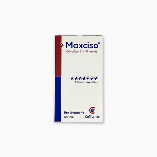 [2624] MAXCISO INY 100ML