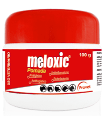 [1057] MELOXIC * 100 GR POMADA