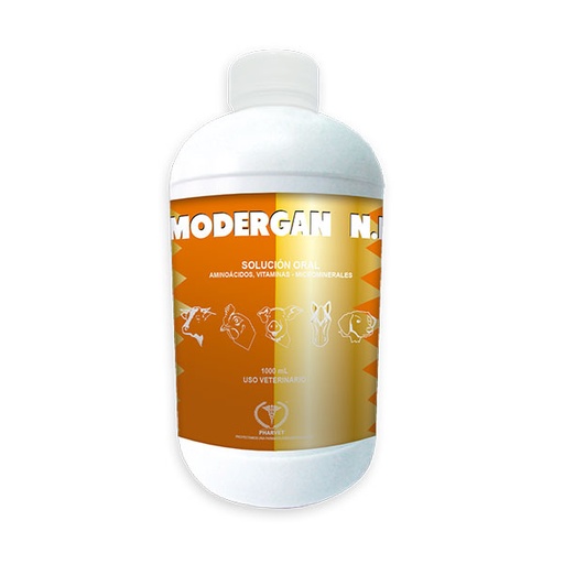 [2186] MODERGAN NF ORAL * 1 LT (MULTIVITAMINICO)