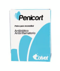 [2865] PENICORT FCO * 6.0 UI