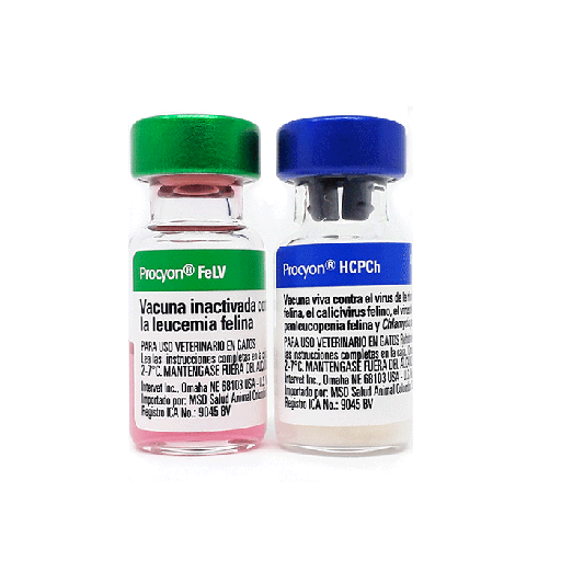 [4080] PROCYON HCPCH+FELV * 1 DS (TRIPLE FELINA + LEUCEMIA)+ 1 DOSIS
