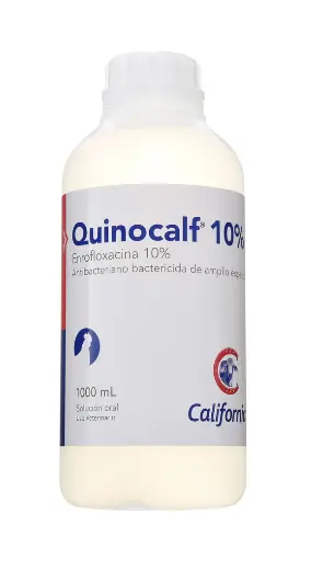 [2642] QUINOCALF 10% ORAL * LITRO
