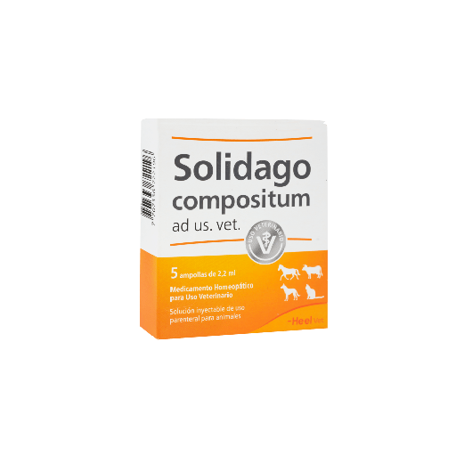 [1966] SOLIDAGO COMP. VET CJA * 5 AMP*2.2 ML