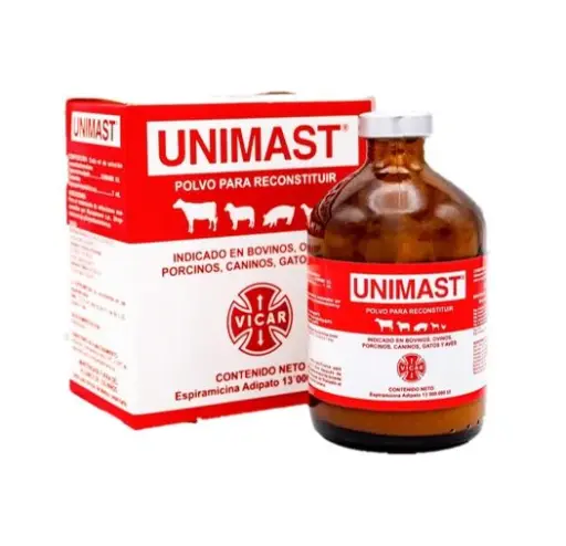 [1402] UNIMAST 13000.000 UI