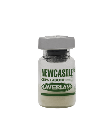 [2012] VACUNA NEWCASTLE CEPA B1 * 1000 DOSIS