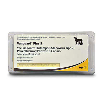 [2882] VANGUARD PLUS 5 PUPPY