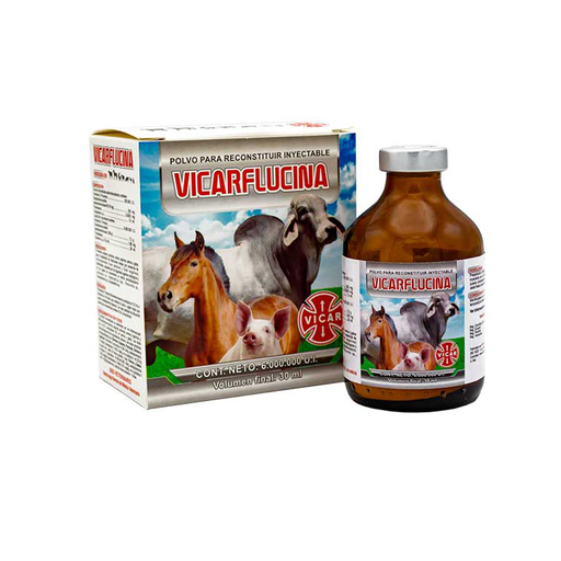 [1415] VICARFLUCINA 6.000.000