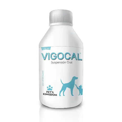 [1228] VIGOCAL ORAL 120 ML